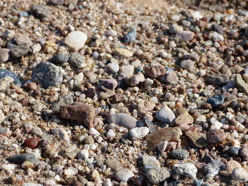 Frances Jeunes mars12 (053)