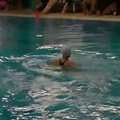 Vidéo Synchro d&#039;Or - Propulsion Ballet - Marion - Novembre 2014 - Les nageurs du cnmg - Sports