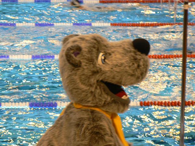 Chpts France PB dec09 (010)